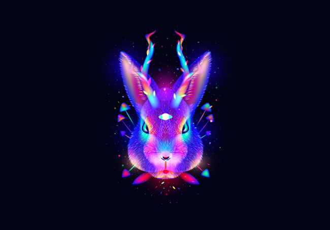 Fantasy Lights动物插画设计NO.2