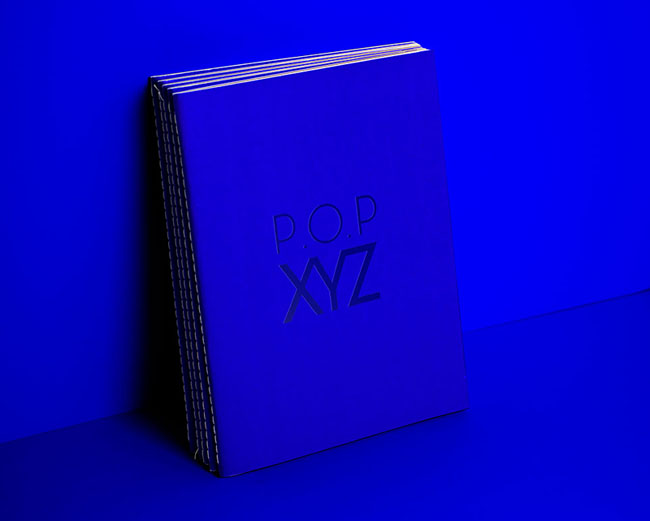 POP XYZ地产画册设计欣赏