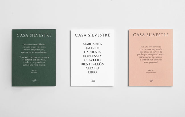 Casa Silvestre浪漫花店品牌形象设计