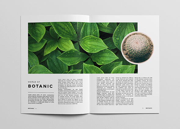 简洁美观的Botanic植物杂志模版设计作品