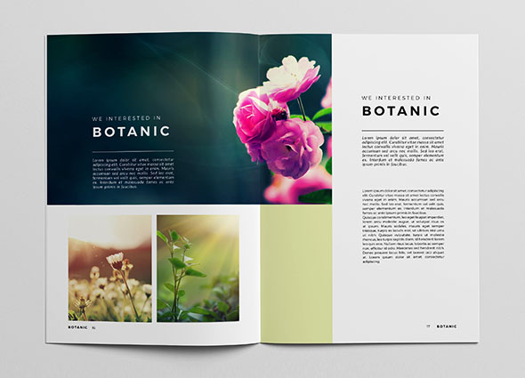 简洁美观的Botanic植物杂志模版设计作品