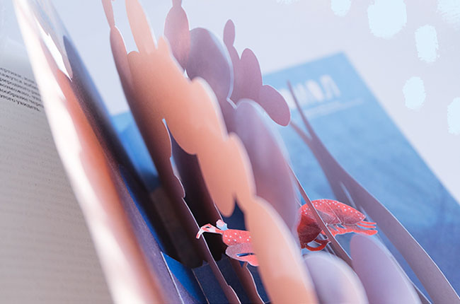 俄罗斯Mary Komary弹出式立体创意书籍设计作品