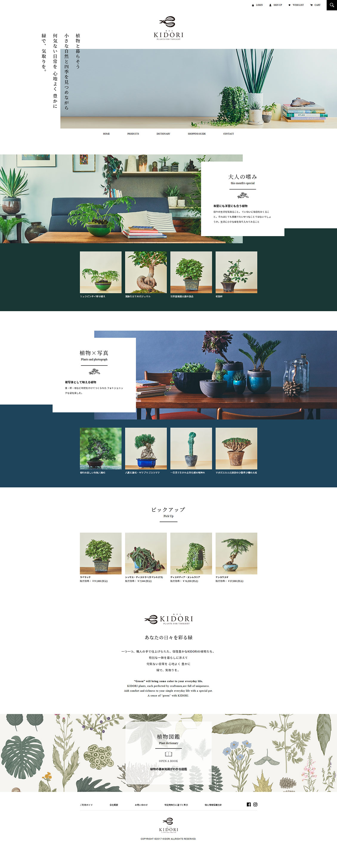 KIDORI盆栽植物日本企业网站设计欣赏