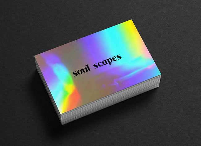 Soul Scapes品牌VI设计基础部分