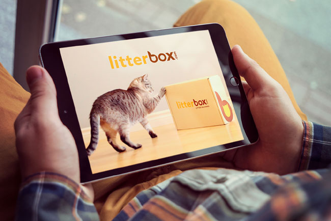 国外Litterbox猫砂品牌VI设计欣赏