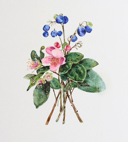 糖瓜毕业后的画画生活，手绘插画