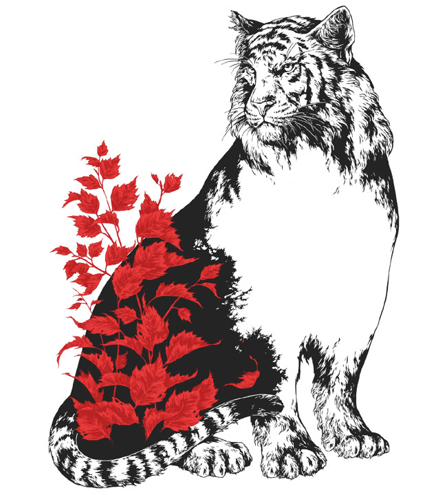 俄罗斯插画师Ivan Belikov动物插画设计欣赏