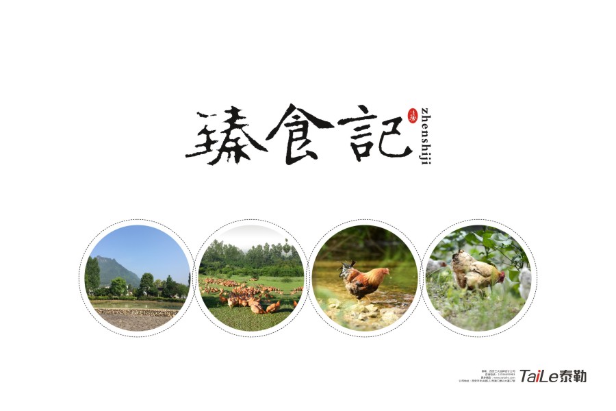 鸡蛋包装