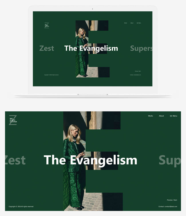 4套Zest时尚网页设计模版