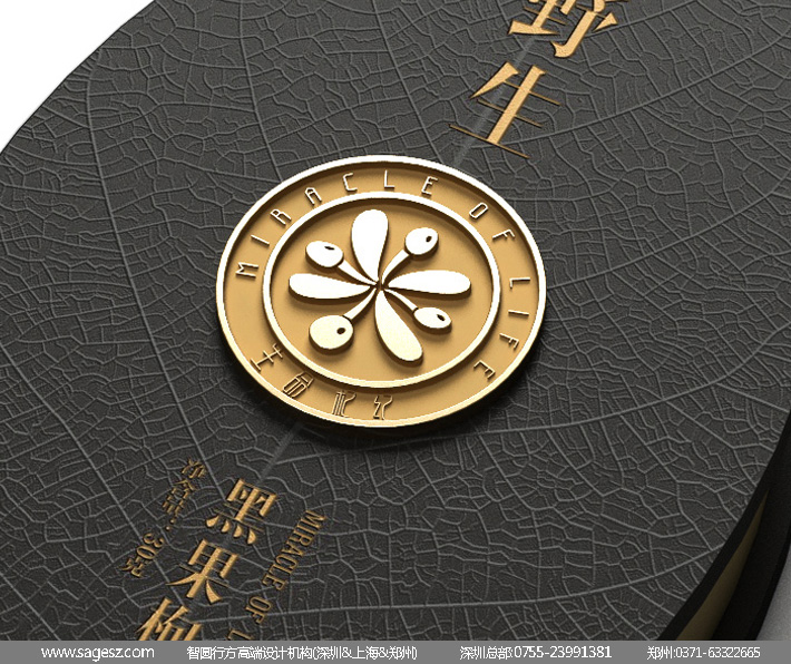 高大上的宁夏枸杞包装设计，黑枸杞礼盒包装设计欣赏