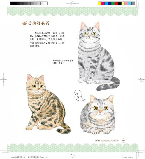 画出萌到爆的喵星人，《caca与猫猫的亲密手绘》