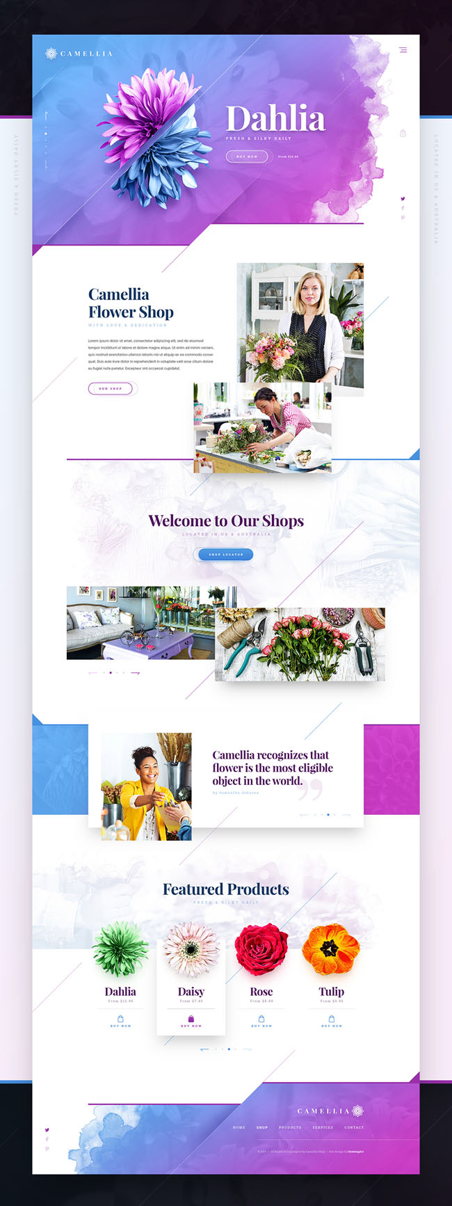 国外漂亮的Camellia花店网页界面设计欣赏
