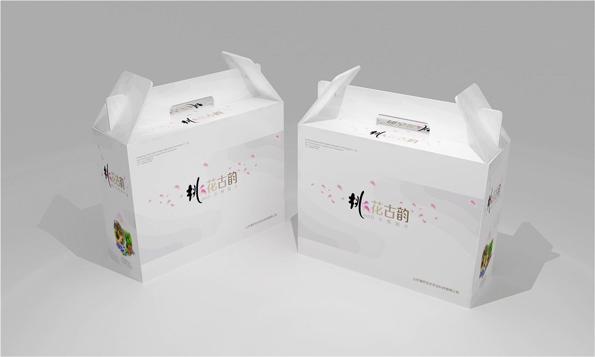 徐桂亮品牌设计—桃花古韵