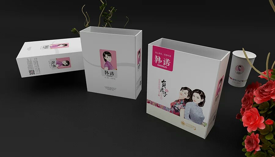 徐桂亮品牌设计—韩诺女性护理用品