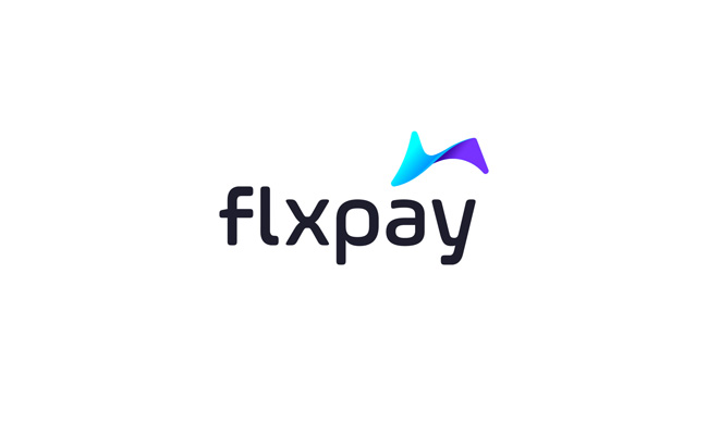 国外flxpay在线支付品牌蓝白版VI设计作品欣赏
