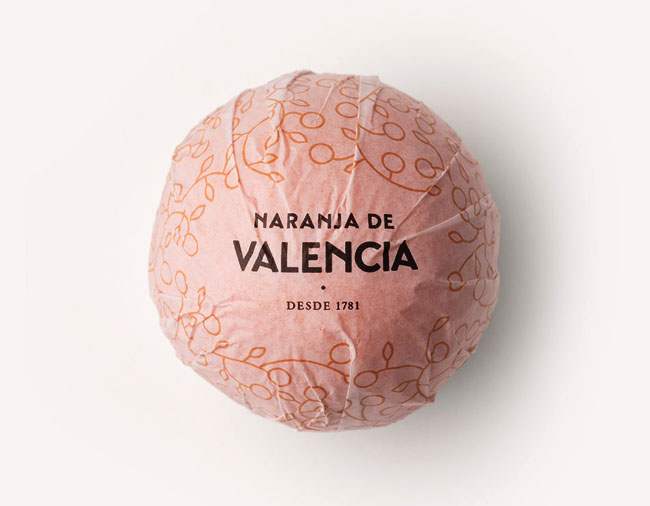 国外Valencia橙子生产与出口品牌vi形象设计