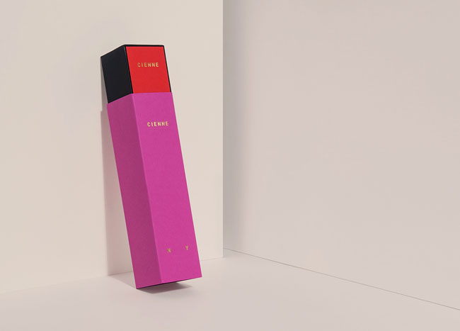 纽约Cienne高端女装品牌形象vi设计