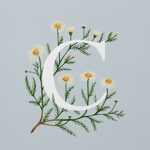 26个英文字母与花的结合设计