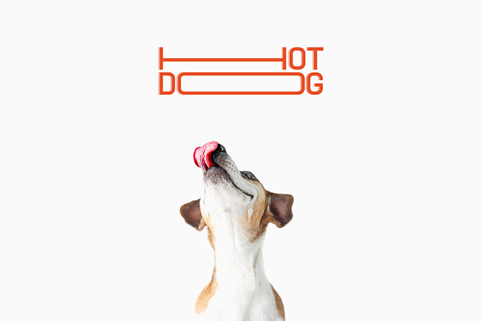 HOT DOG宠物狗香肠创意包装设计