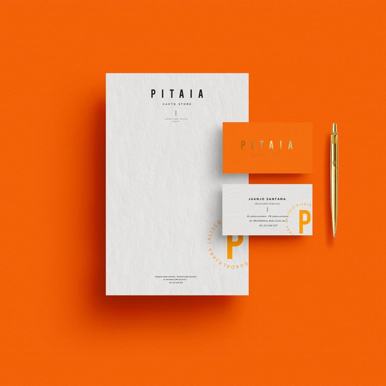 仙人掌和花盆销售商:Pitaia品牌VI设计