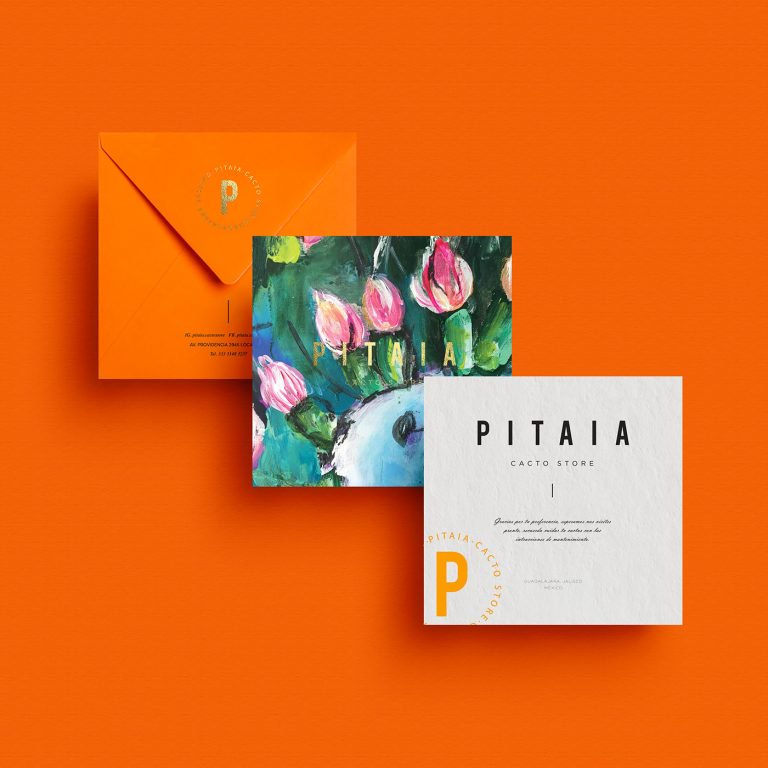 仙人掌和花盆销售商:Pitaia品牌VI设计
