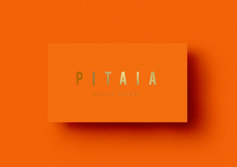 仙人掌和花盆销售商:Pitaia品牌VI设计