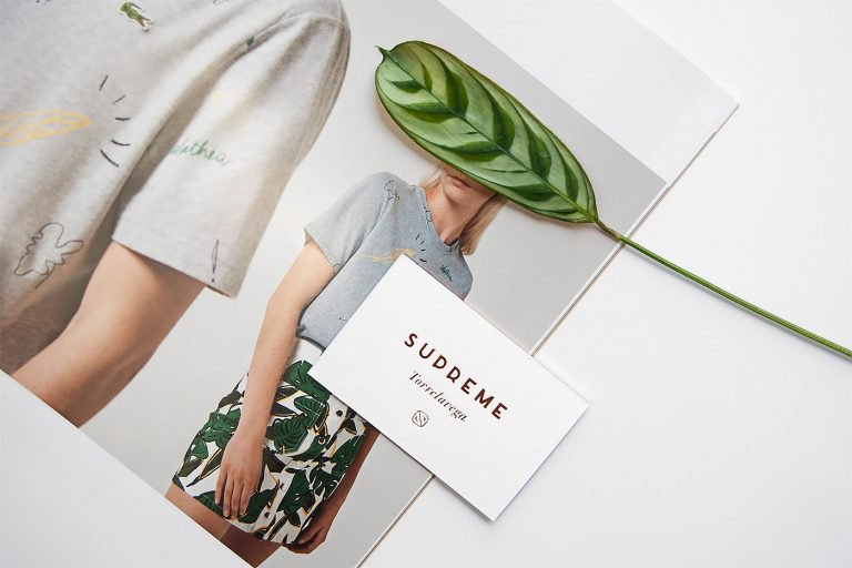 Supreme服装店品牌创意视觉形象设计欣赏