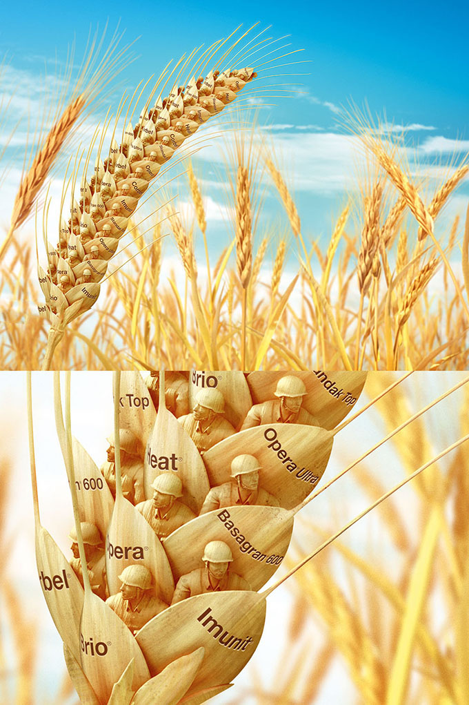 11.jpg 剖析设计构图!线条的张力与表现力