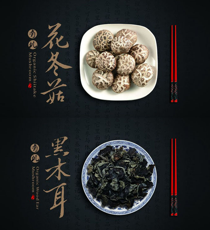 文字的版式设计教程，创意文字设计原来有这种魅力
