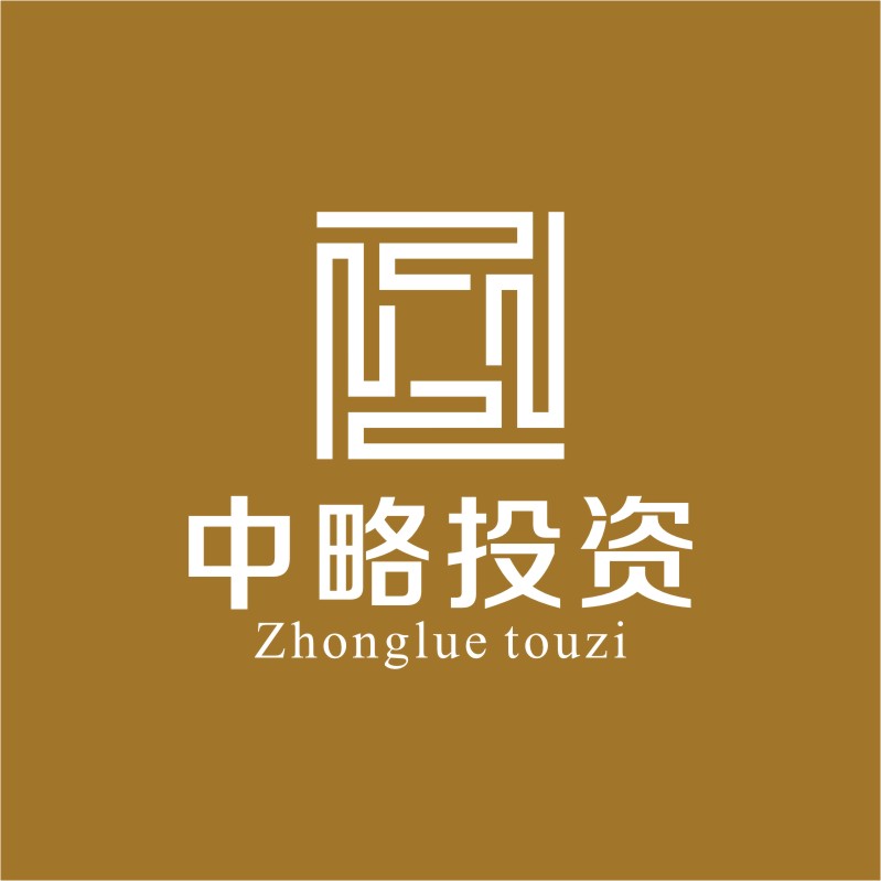 中略投资标志设计
