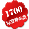 标准精美型