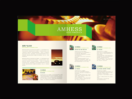 阿美赫斯画册2